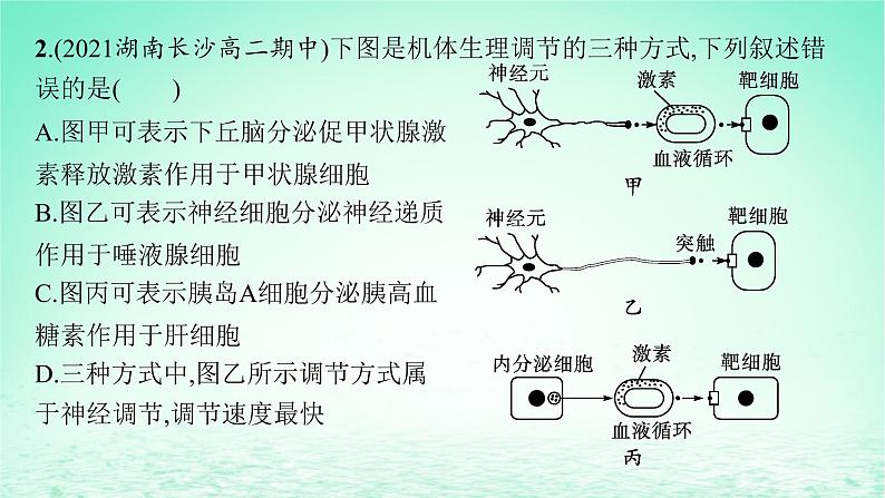 2022_2023学年新教材高中生物第3章体液调节微专题二动物生命活动调节类型及下丘脑课件新人教版选择性必修106