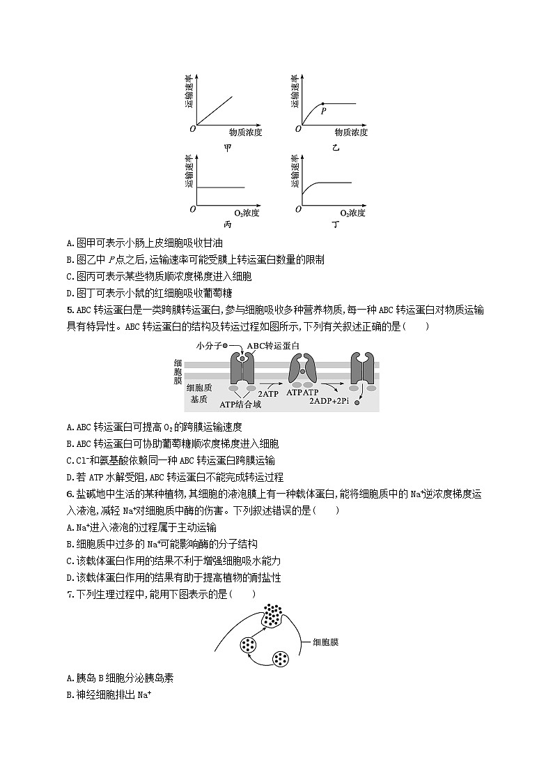 2022_2023学年新教材高中生物第4章细胞的物质输入和输出第2节主动运输与胞吞胞吐课后习题新人教版必修102