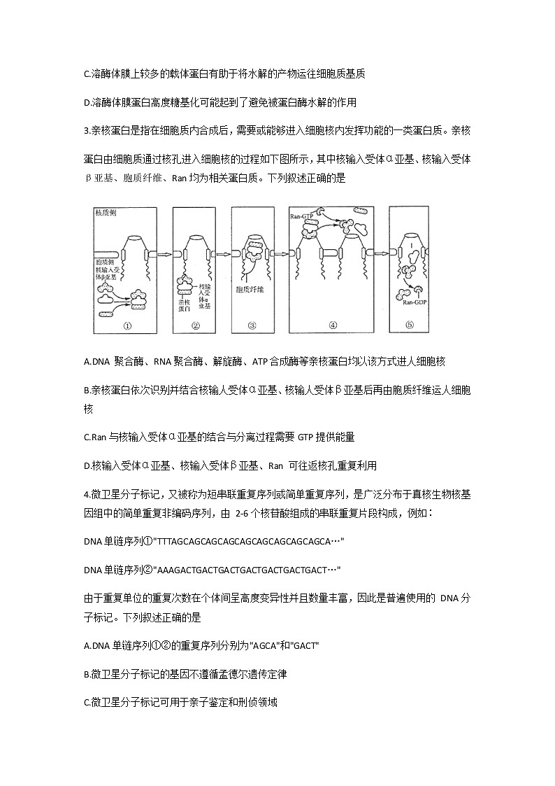 2022届山东省济南市高三5月模拟考试（三模）生物试题word版含答案02