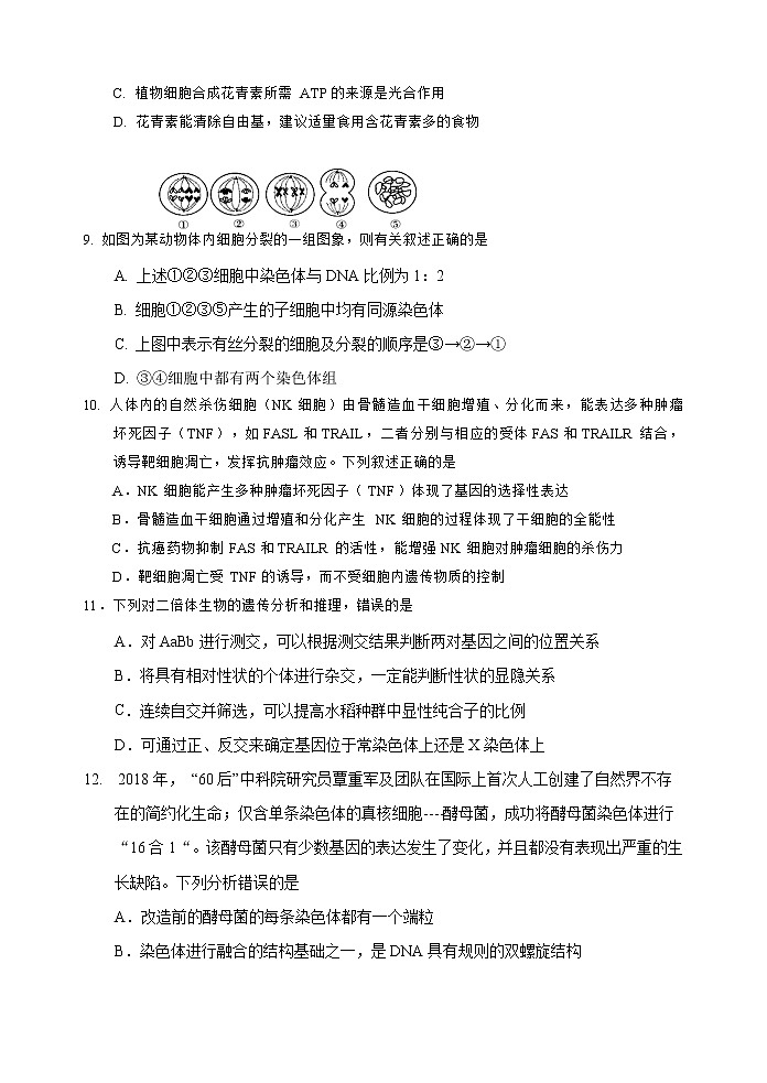 2022届吉林市高三下学期第二次调研考试生物含答案03