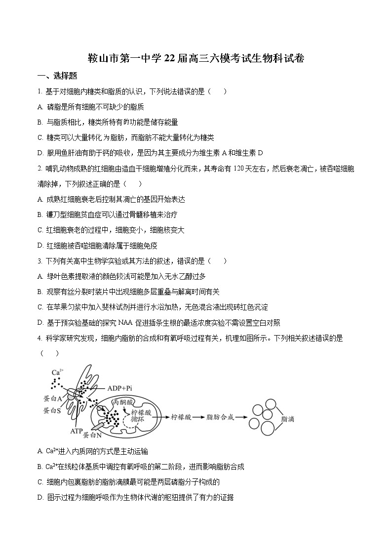 辽宁省鞍山市第一中学2022届高三第六次模拟考试-生物试题第1页