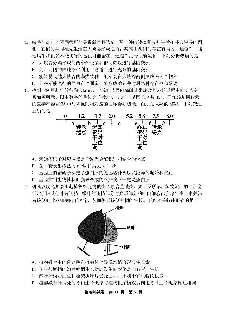辽宁省鞍山市第一中学2022届高三第六次模拟考试-生物试题第2页