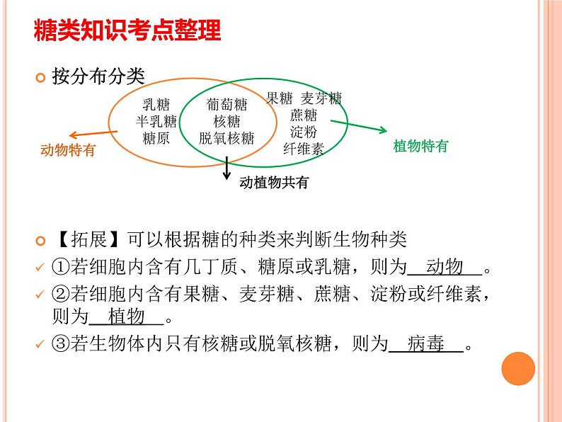 【2019人教版】必修1第2章第3节 细胞中的糖类和脂质 课件PPT06