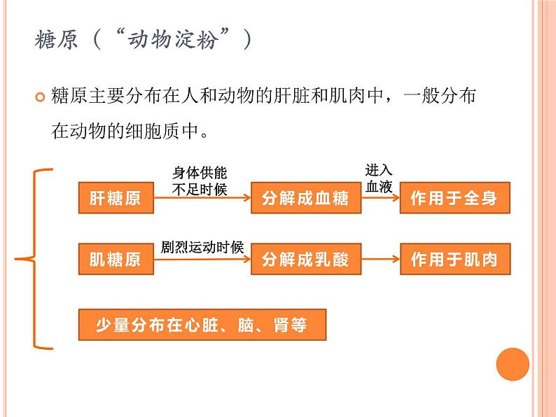 【2019人教版】必修1第2章第3节 细胞中的糖类和脂质 课件PPT08