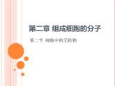 【2019人教版】必修1第2章第2节 细胞中的无机物 课件PPT