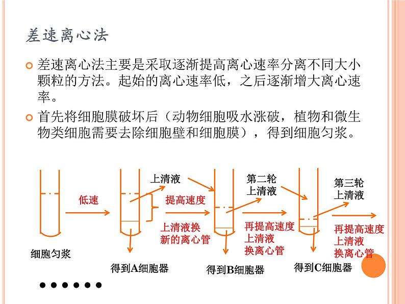 【2019人教版】必修1第3章第2节 细胞器之间的分工合作 课件PPT第5页