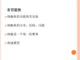 【2019人教版】必修1第3章第3节 细胞核的结构和功能 课件PPT