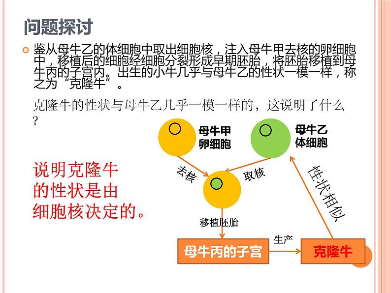 【2019人教版】必修1第3章第3节 细胞核的结构和功能 课件PPT第3页