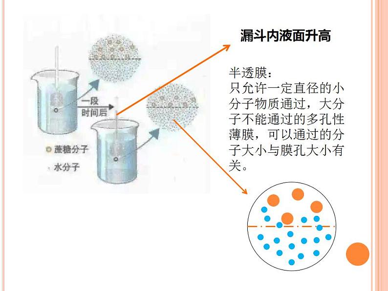 【2019人教版】必修1第4章第1节 被动运输 课件PPT第3页