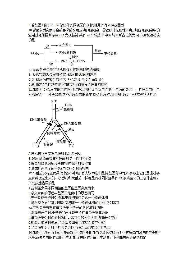 河南省名校联盟2022-2023学年高三上学期摸底联考生物试题第3页