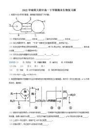 2022广州华南师范大学附中高一下学期期末生物试题含答案