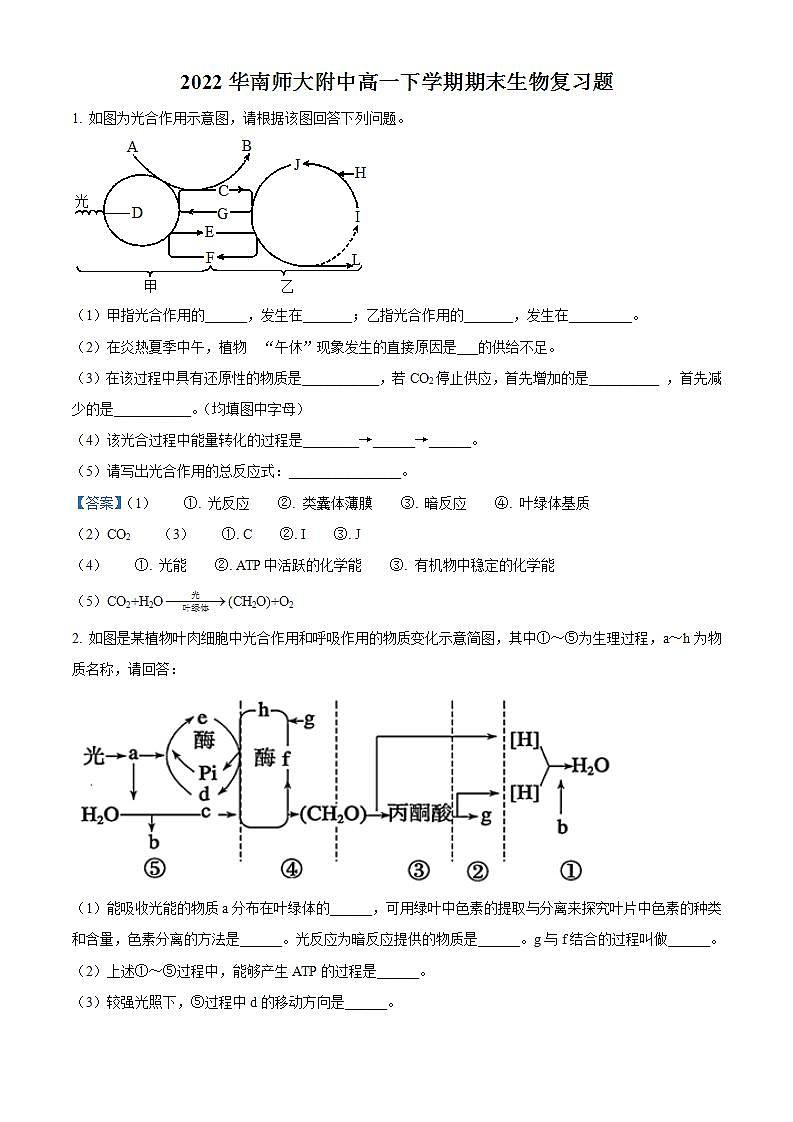 2022广州华南师范大学附中高一下学期期末生物试题含答案01