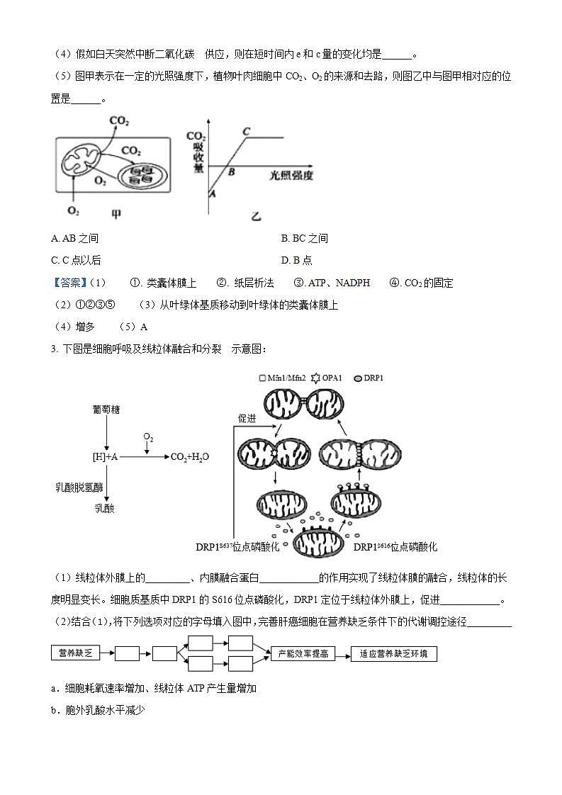 2022广州华南师范大学附中高一下学期期末生物试题含答案02