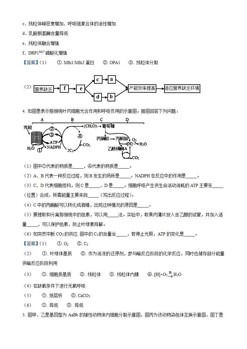 2022广州华南师范大学附中高一下学期期末生物试题含答案03