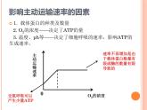 【2019人教版】必修1第4章第2节 主动运输 课件PPT