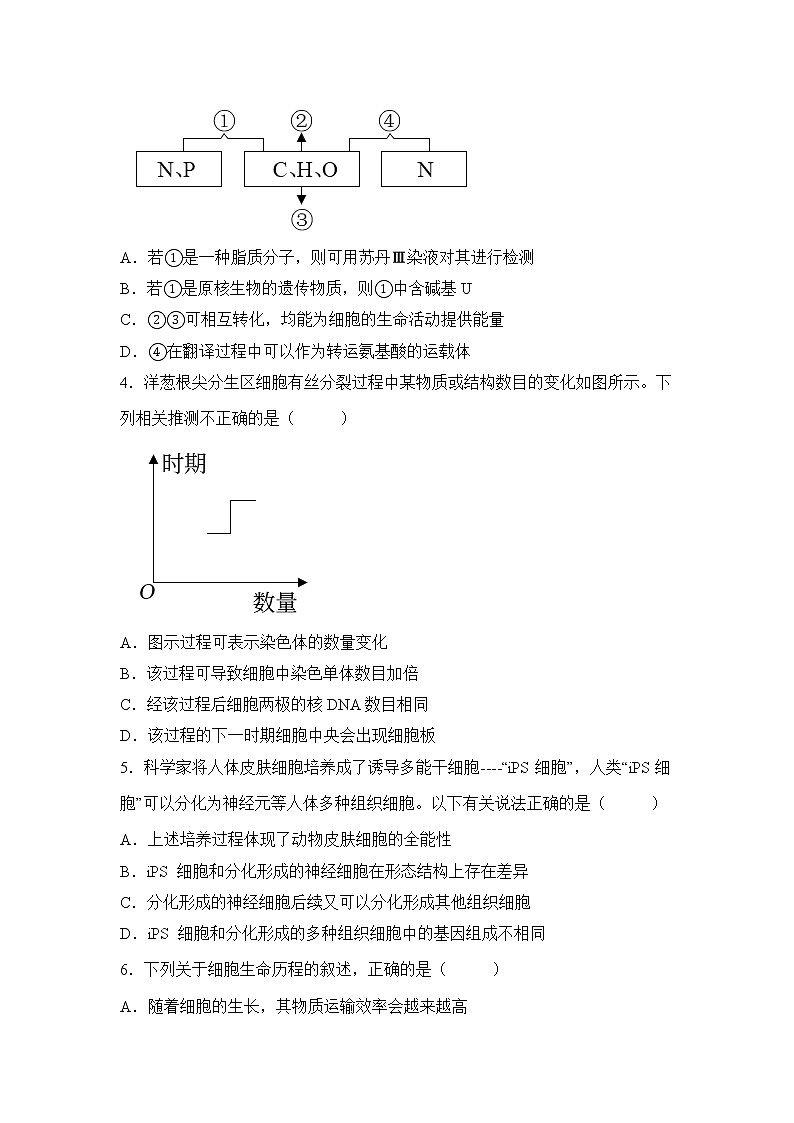 高三生物一轮复习基础知识：分子与细胞第2页