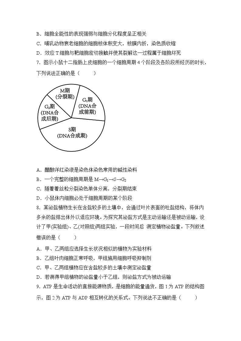 高三生物一轮复习基础知识：分子与细胞第3页
