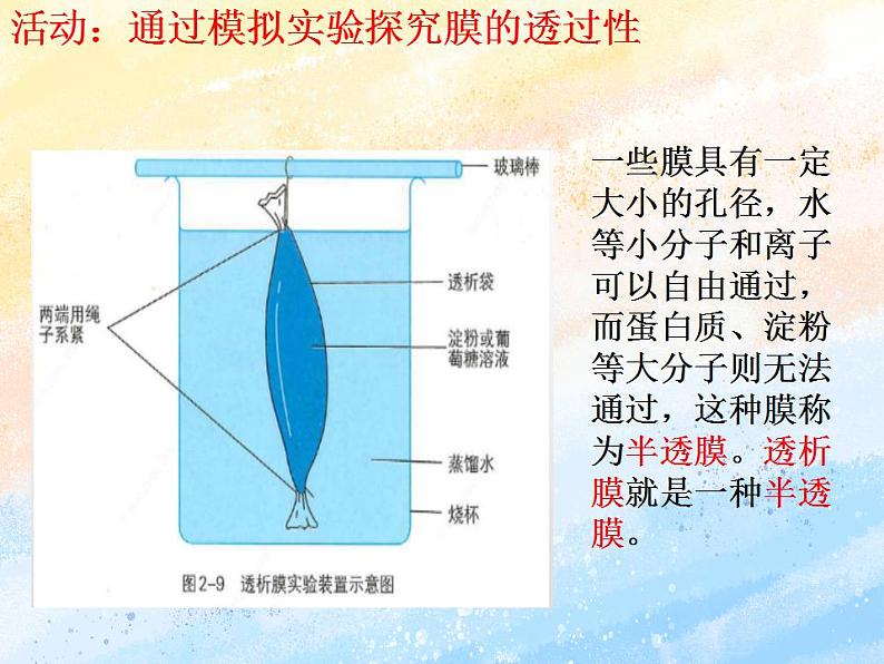 2.2细胞膜控制细胞与周围环境的联系课件浙科版（2019）高中生物必修一(共33张PPT)03