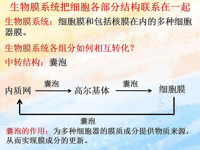 2.5细胞在结构和功能上是一个统一整体1课件浙科版（2019）高中生物必修一04