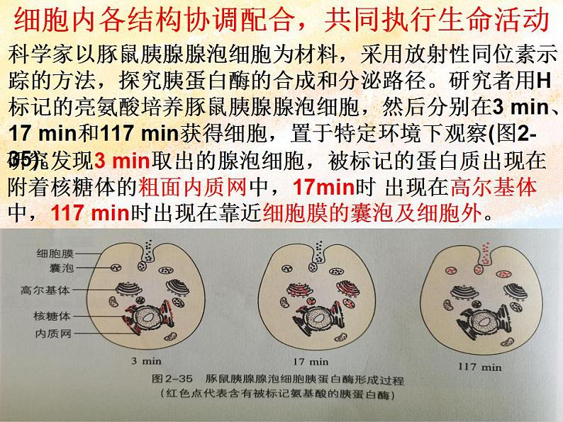 2.5细胞在结构和功能上是一个统一整体1课件浙科版（2019）高中生物必修一06