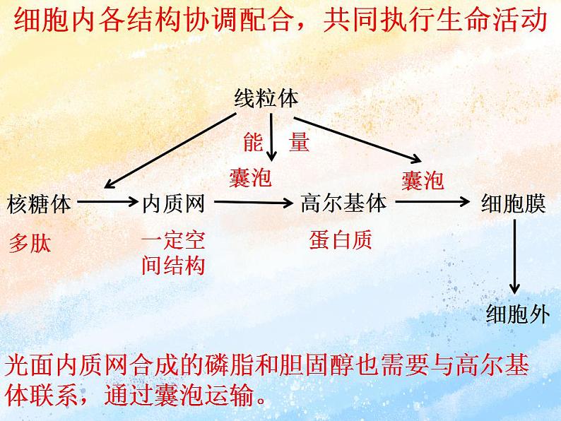 2.5细胞在结构和功能上是一个统一整体1课件浙科版（2019）高中生物必修一07