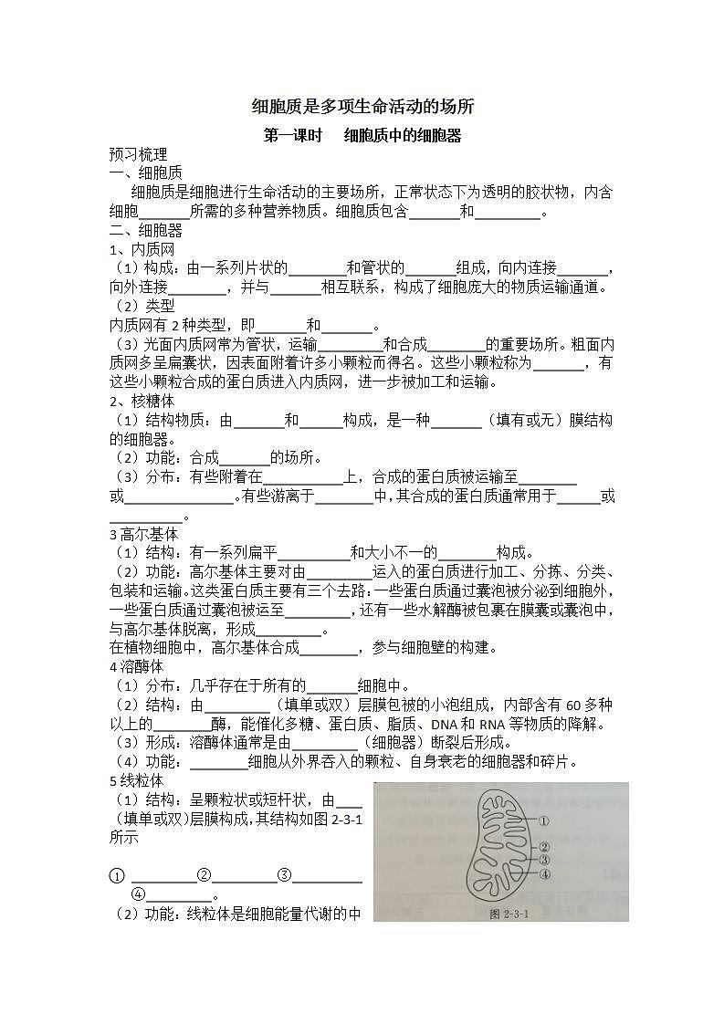 2.3+细胞质是多项生命活动的场所+细胞质中的细胞器+学案浙科版（2019）高中生物必修一01