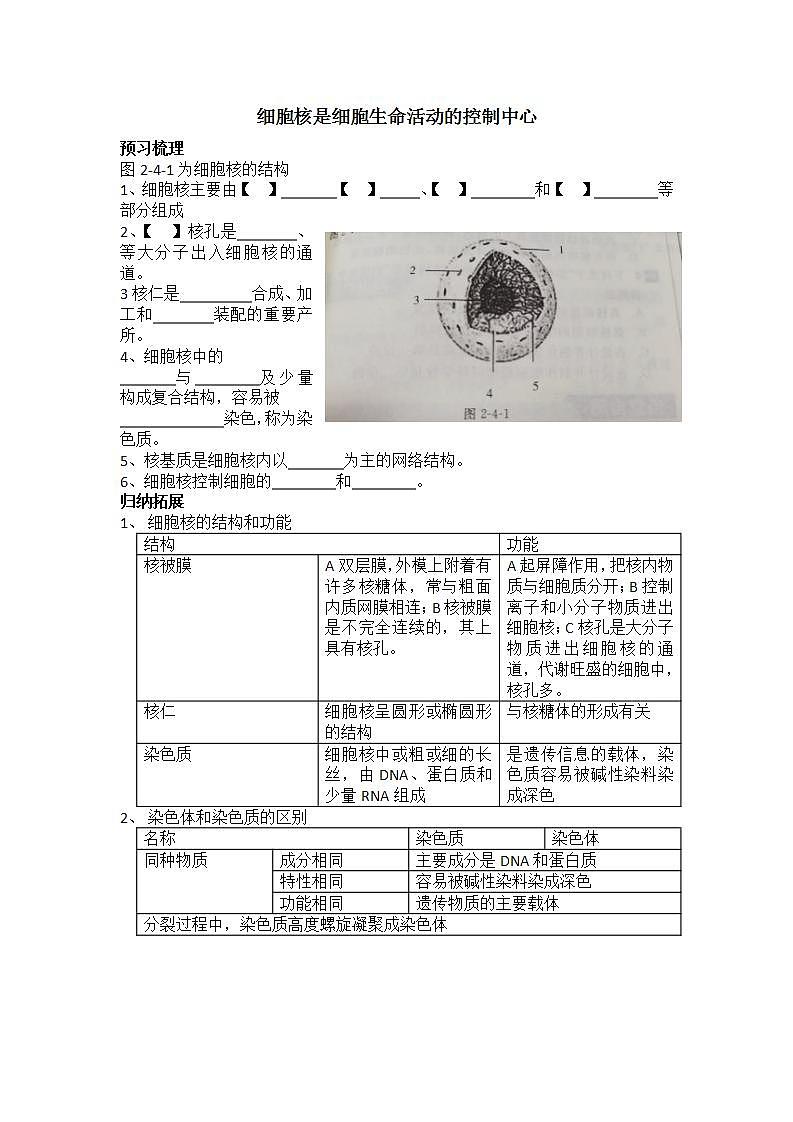 2.4细胞核是细胞生命活动的控制中心学案浙科版（2019）高中生物必修一01