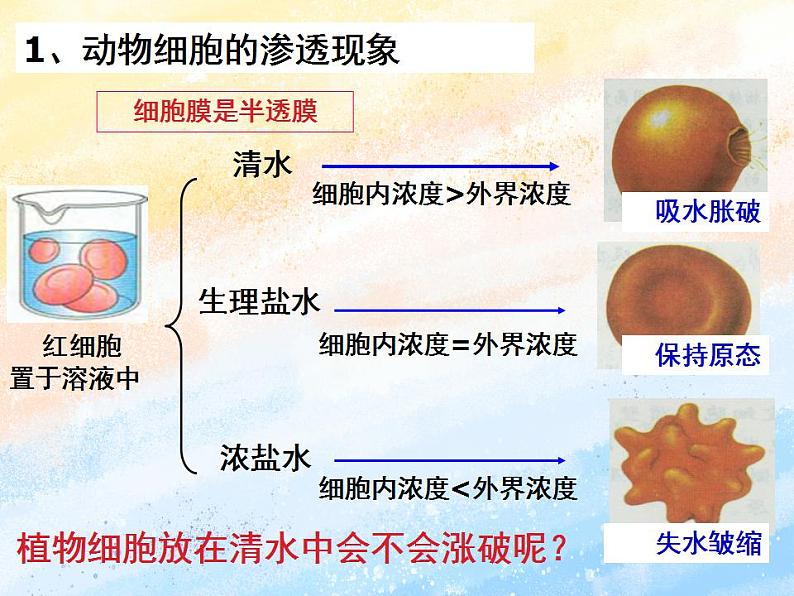 3.3+物质通过多种方式出入细胞+课件浙科版（2019）高中生物必修一08