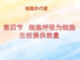 3.4细胞呼吸为细胞生活提供能量课件浙科版（2019）高中生物必修一