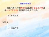 3.4细胞呼吸为细胞生活提供能量课件浙科版（2019）高中生物必修一