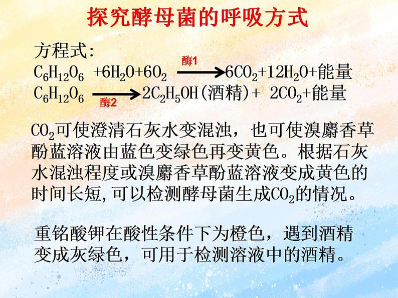 3.4细胞呼吸为细胞生活提供能量课件浙科版（2019）高中生物必修一06