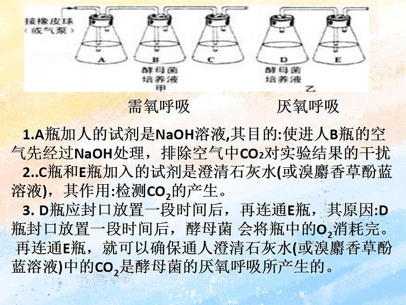 3.4细胞呼吸为细胞生活提供能量课件浙科版（2019）高中生物必修一07