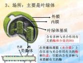 3.5+光合作用将光能转化为化学能+课件浙科版（2019）高中生物必修一