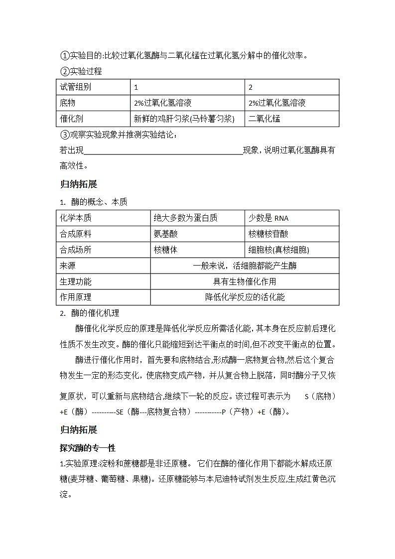 3.2+酶是生物催化剂+第1课时+酶的本质及酶的特性+学案浙科版（2019）高中生物必修一02