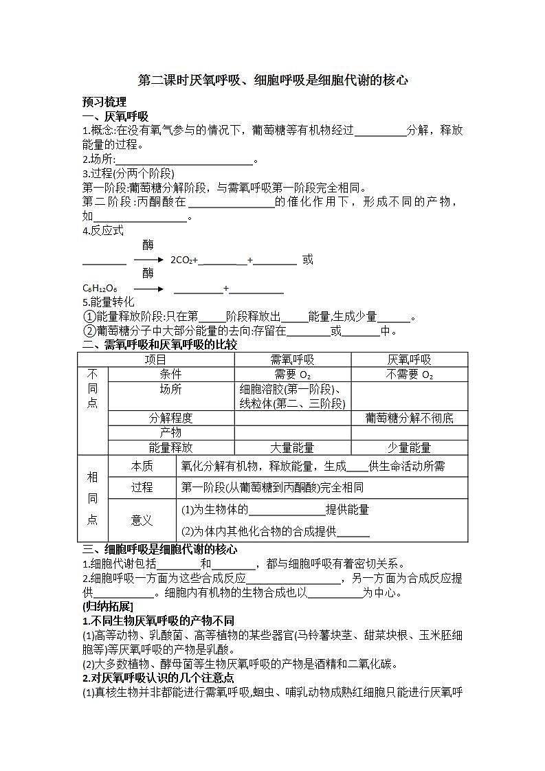 3.4+细胞呼吸为细胞生活提供能量+第2课时+厌氧呼吸、细胞呼吸是细胞代谢的核心+学案浙科版（2019）高中生物必修一01