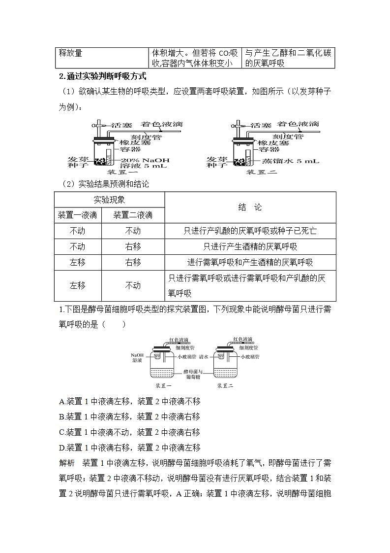 3.4+细胞呼吸为细胞生活提供能量+第2课时+厌氧呼吸、细胞呼吸是细胞代谢的核心+学案浙科版（2019）高中生物必修一03