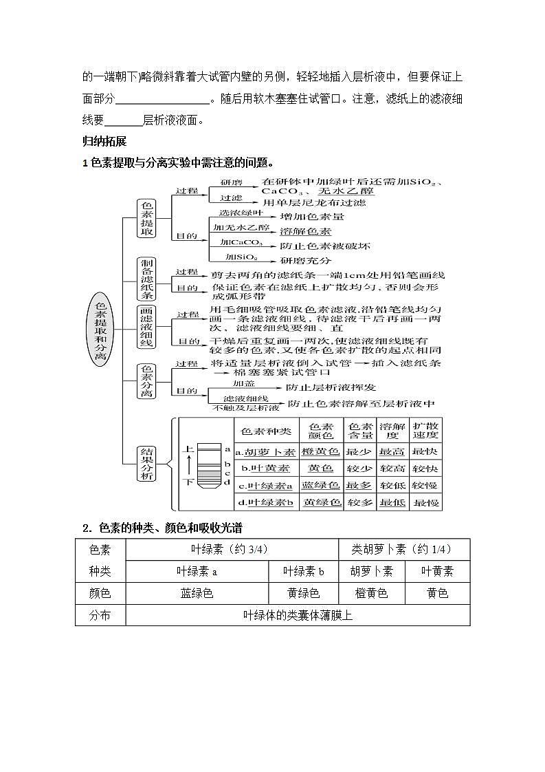 3.5+光合作用将光能转化为化学能+第一课时光合作用在叶绿体中进行+学案浙科版（2019）高中生物必修一02