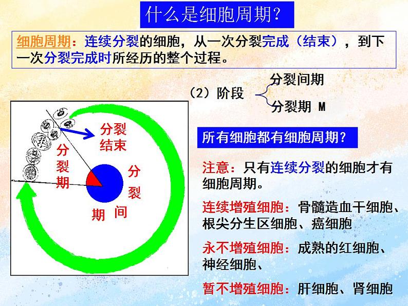 细胞通过分裂增殖 第一课时第7页