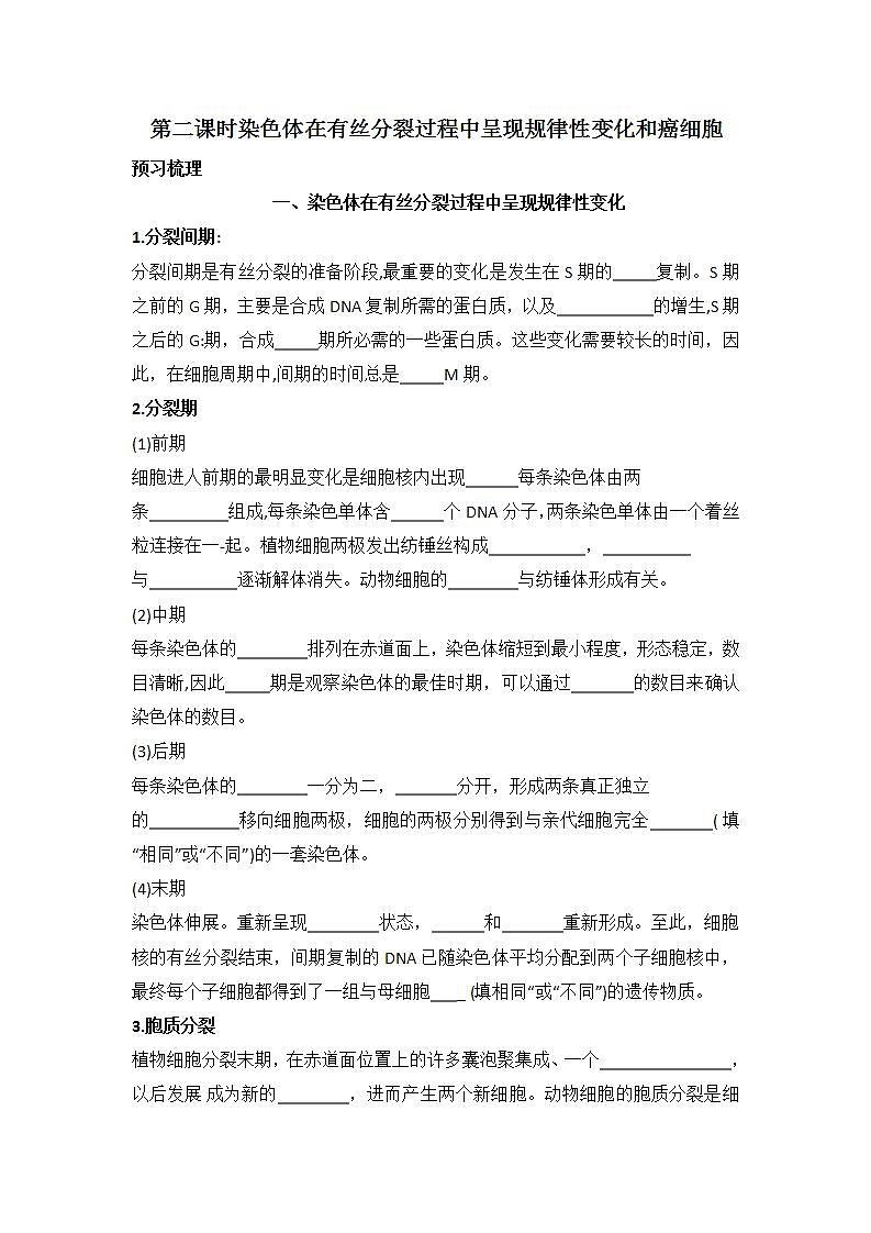 4.1+细胞通过分裂增殖+第二课时+染色体在有丝分裂过程中呈现规律性变化和癌细胞+学案浙科版（2019）高中生物必修一01