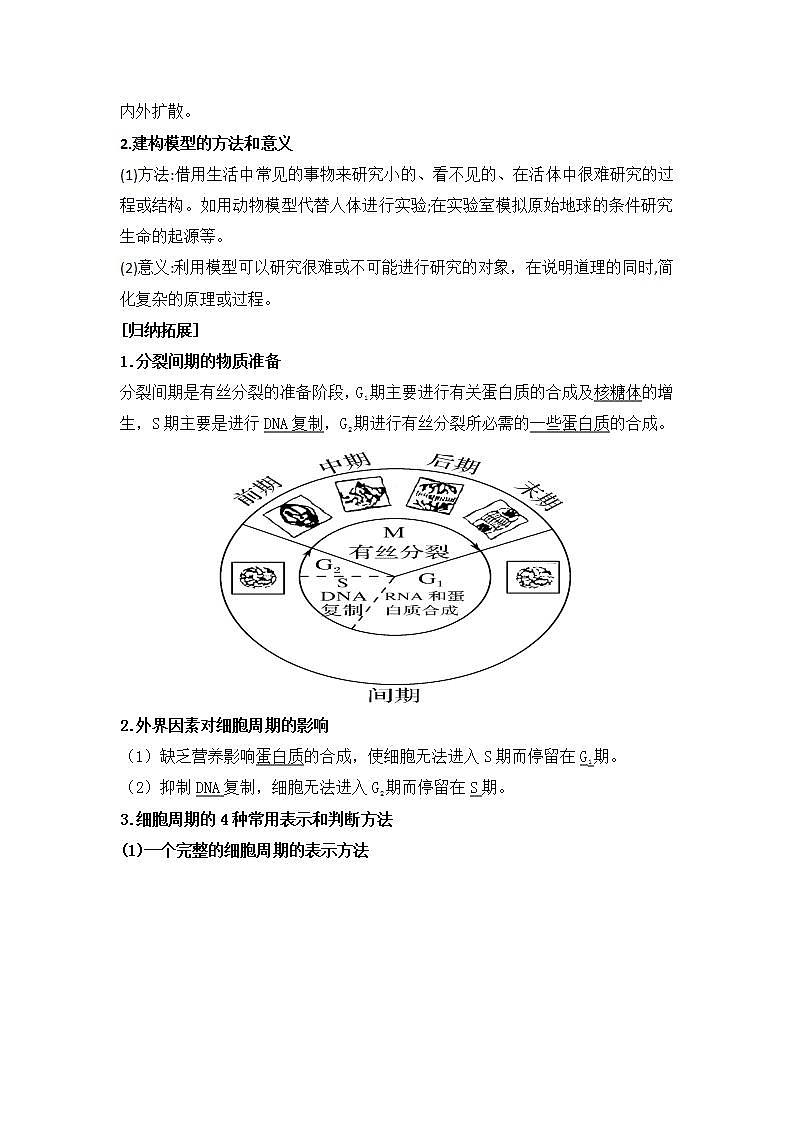 4.1细胞通过分裂增殖第一课时细胞周期学案浙科版（2019）高中生物必修一02