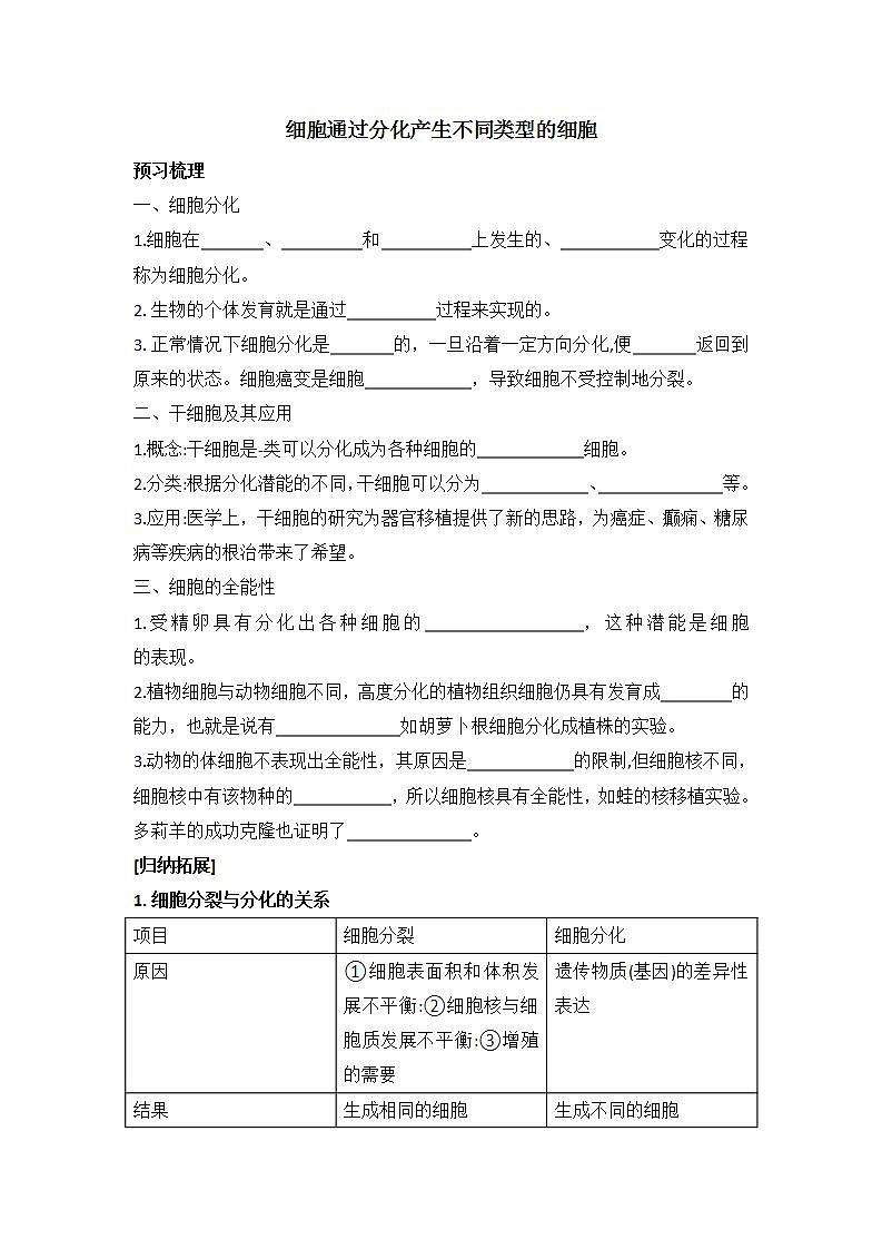 4.2+细胞通过分化产生不同类型的细胞+学案浙科版（2019）高中生物必修一01
