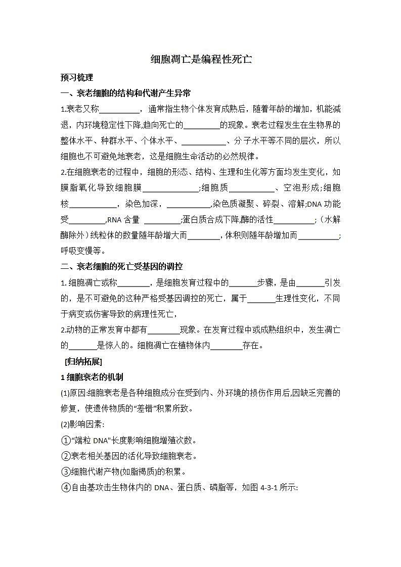 4.3+细胞凋亡是编程性死亡+学案浙科版（2019）高中生物必修一01