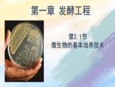 1.2.1微生物的基本培养技术（课件）高二生物（人教版2019选择性必修3）