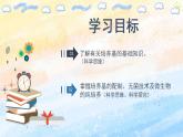 1.2.1微生物的基本培养技术（课件）高二生物（人教版2019选择性必修3）