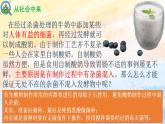 1.2.1微生物的基本培养技术（课件）高二生物（人教版2019选择性必修3）