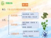 1.2.1微生物的基本培养技术（课件）高二生物（人教版2019选择性必修3）