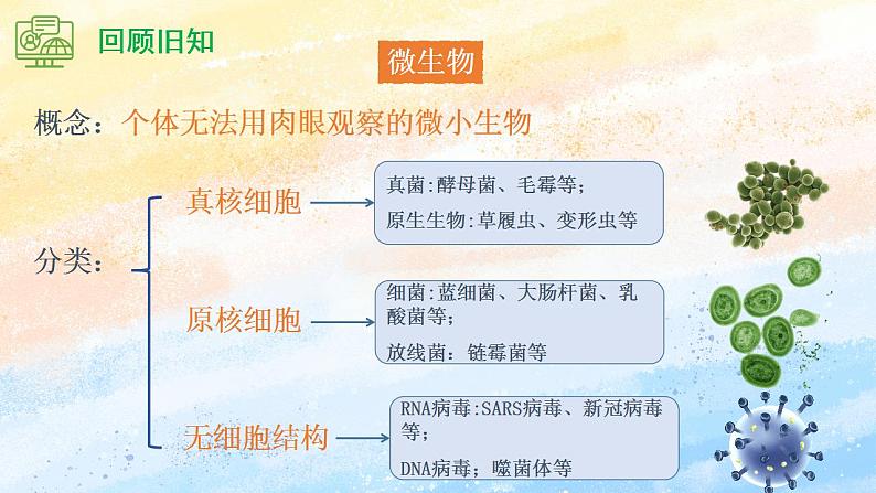 1.2.1微生物的基本培养技术（课件）高二生物（人教版2019选择性必修3）04