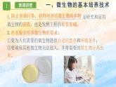 1.2.1微生物的基本培养技术（课件）高二生物（人教版2019选择性必修3）