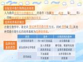 1.2.2微生物的選擇培養(yǎng)和計(jì)數(shù)（課件）高二生物（人教版2019選擇性必修3）