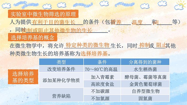 1.2.2微生物的选择培养和计数（课件）高二生物（人教版2019选择性必修3）04